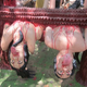 Illustration for article titled Spend a lovely day with the kids at Thailand's Hell torture theme park